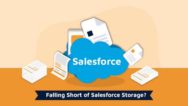Falling Short Of Salesforce Storage Space